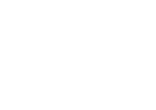RAH Consultancy logo